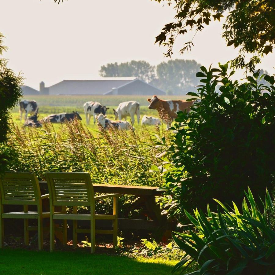 B&B Op Landgoed Koepeltjesplaats Gaast Экстерьер фото